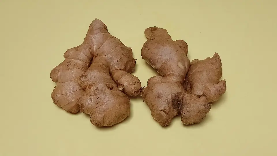 노란색 바탕 위에 놓인 두 개의 생강 뿌리